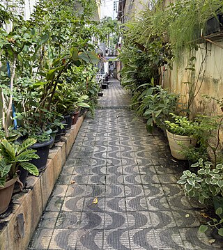 Alley in Colatina (3).jpg