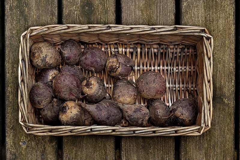 File:Beetroots in a basket.jpg