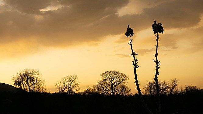 The sunrise in Himachal Pradesh