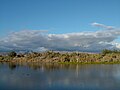 * Nomination The lagoon of Maspalomas, Gran Canaria. --rimshot 16:00, 18 March 2008 (UTC) * Decline lacks sharpness. --Dschwen 17:21, 5 March 2008 (UTC)