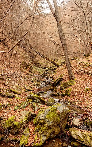 A spring of Bregalnica at Ravna Reka