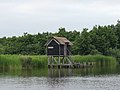 * Nomination: De Alde Feanen. Bird observation.-- Famberhorst 15:34, 26 July 2013 (UTC) * * Review needed