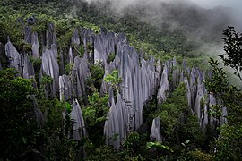 Mulu Pinnacles