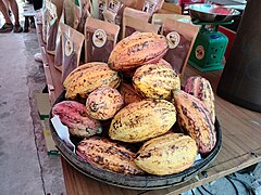 Cacao beans 2.jpg