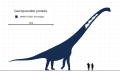 Chart showing Sauroposeidon and a human