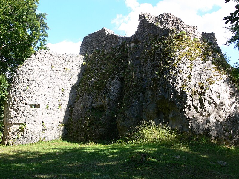 File:Falkenstein Donautal Westseite.jpg