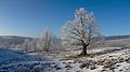 Landschaft in der Rhön (Foto) mit Raureif (Hoar frost) in Hessen