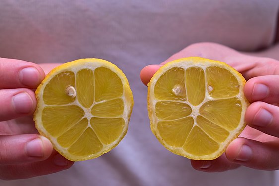 Yellow lemon cut in half