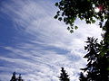 * Nomination Cirrus clouds over Langley, BC. --The High Fin Sperm Whale 18:39, 9 June 2010 (UTC) * Decline Sorry, how do you name the red point, near the sun ?--Jebulon 00:04, 10 June 2010 (UTC) I don't think it has a name. --The High Fin Sperm Whale 22:43, 9 June 2010 (UTC) Sorry, but while the attempt at natural framing is good, the trees are distractingly dark. Juliancolton 21:31, 10 June 2010 (UTC)