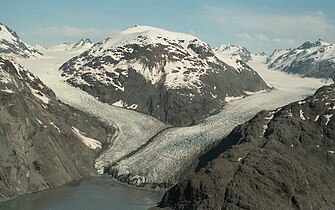 Morse and Muir Glaciers 1994 from airplane