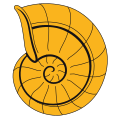 Ammonite shell with double stripe.svg