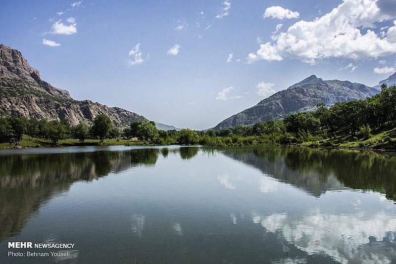 File:Ezgen wetland 20190513 09.jpg