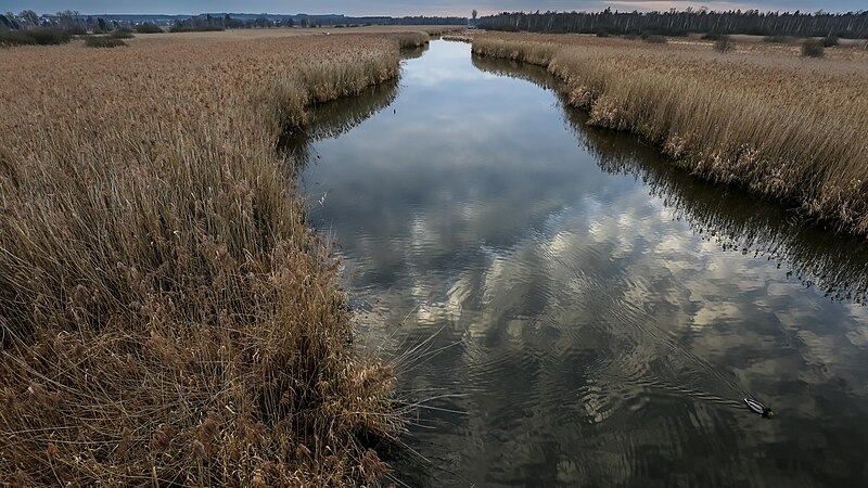 File:Europareservat Federsee AW03.jpg