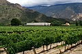 Bodega en Cafayate