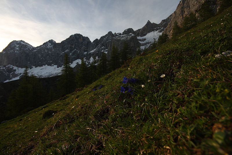 File:Dachstein südwand2154.JPG