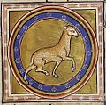 Folio 21 recto : Lamb (Agnus).