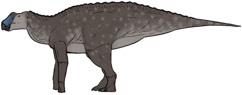 File:Gryposaurus notabilis.png