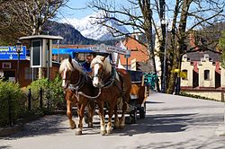 Schloss Hohenschwangau (Baviara 2016)