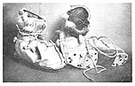 Thumbnail for File:Finnesko and crampons.jpg