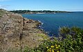 L'embouchure de la ria du Bélon vue depuis la Pointe de Penquernéo en Riec-sur-Bélon ; l'arrière-plan, le littoral de Moëlan-sur-Mer entre la plage de Kerfany-les-Pins et la pointe de Kerhermén.