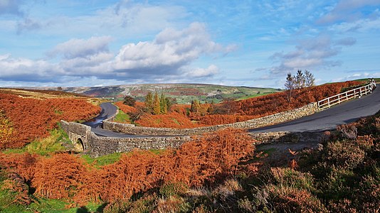 Cogden Bridge, North Yorkshire