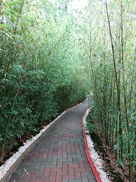 File:Path in Baguio Botanical Garden.jpg