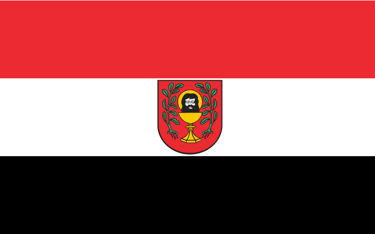 File:POL Łasin flag.svg