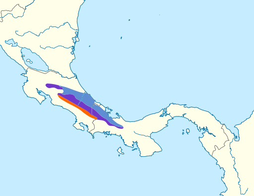 File:Touit costaricensis map.svg