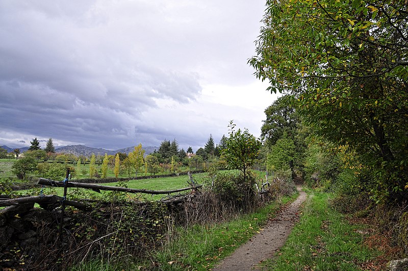 File:Candelario (33979167925).jpg