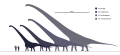 Scale comparing species of Mamenchisaurus