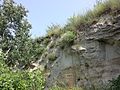 Habitat, near Tresdorf, Lower Austria