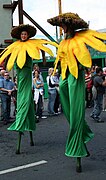 Flower costumes