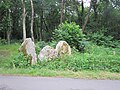 Restes d'une allée couverte ruinée au sud du Croaziou.