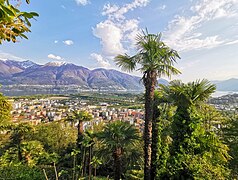 Locarno from Monti Trinita.jpg