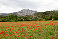 Montagne Sainte-Victoire