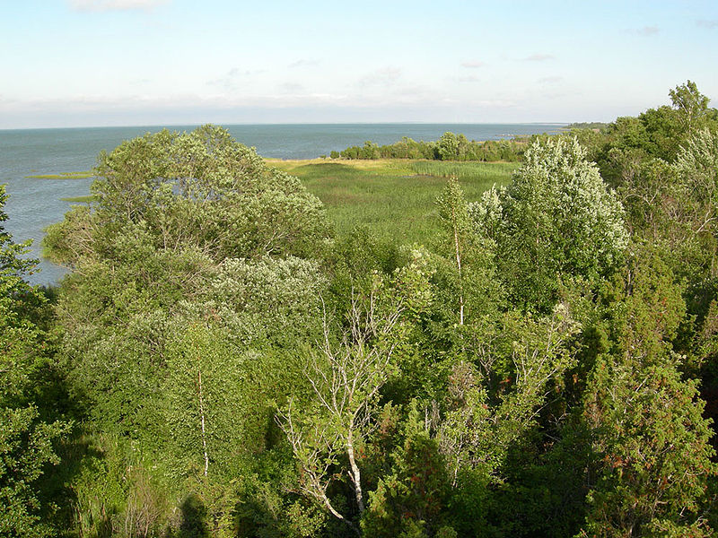 File:NorthMuhuCoast.JPG