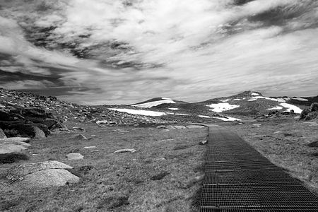 A view of Mount Kosciuszko and the foot path from Thredbo