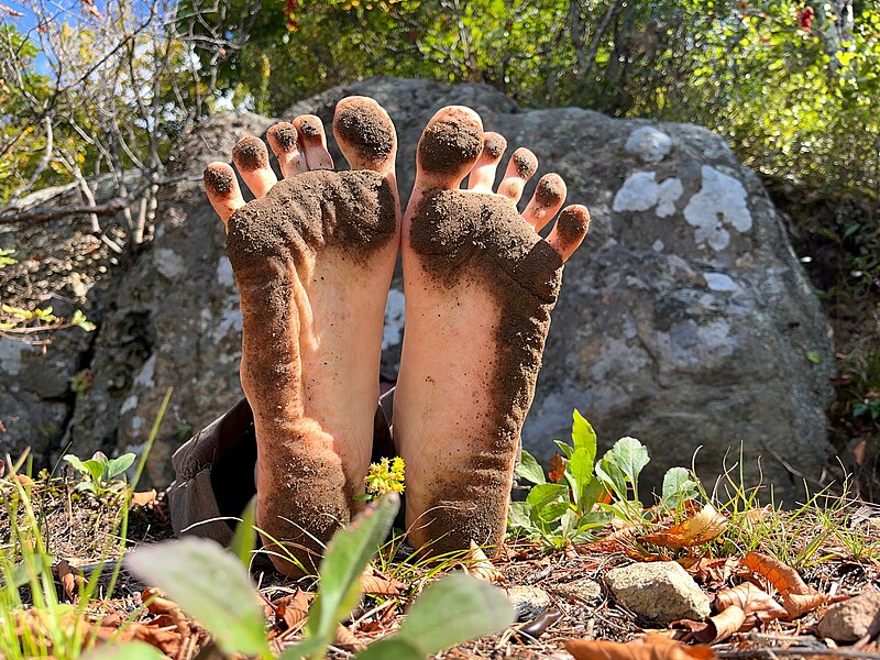 File:Barefoot in nature.jpg