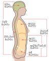 తెలుగు