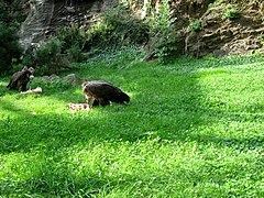 ZOO Praha.jpg