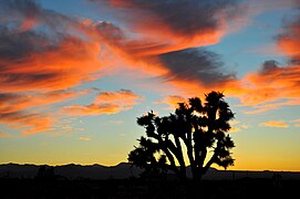 Unique clouds enhance this Silhouette