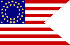 United States Cavalry guidon