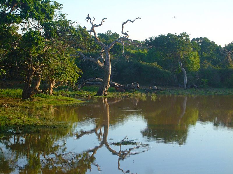 File:YalaNationalPark-April2010-01.JPG