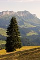 Entlebuch