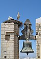 * Nomination Bell-tower of Faro cathedral, Portugal (new edit) -- MJJR 19:39, 7 December 2007 (UTC) * Promotion Nice Picture. --JDrewes 00:14, 8 December 2007 (UTC)