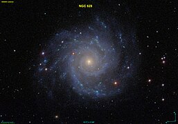 NGC 0628 SDSS.jpg