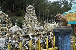 Temple indou Murugan Kovil, Bandarawela Badulla District Province du Sud - Sri Lanka