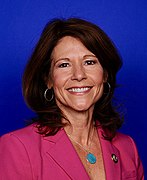 Cheri Bustos 116th Congress.jpg