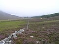 Glen Lui below Derry Wood