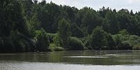 Čeština: Ptáci na rybníce Němec v přírodní památce Kařezské rybníky. Okres Rokycany, Česká republika. English: Birds at Němec Pond at Kařezské rybníky natural monument, Rokycany District, Czech Republic.